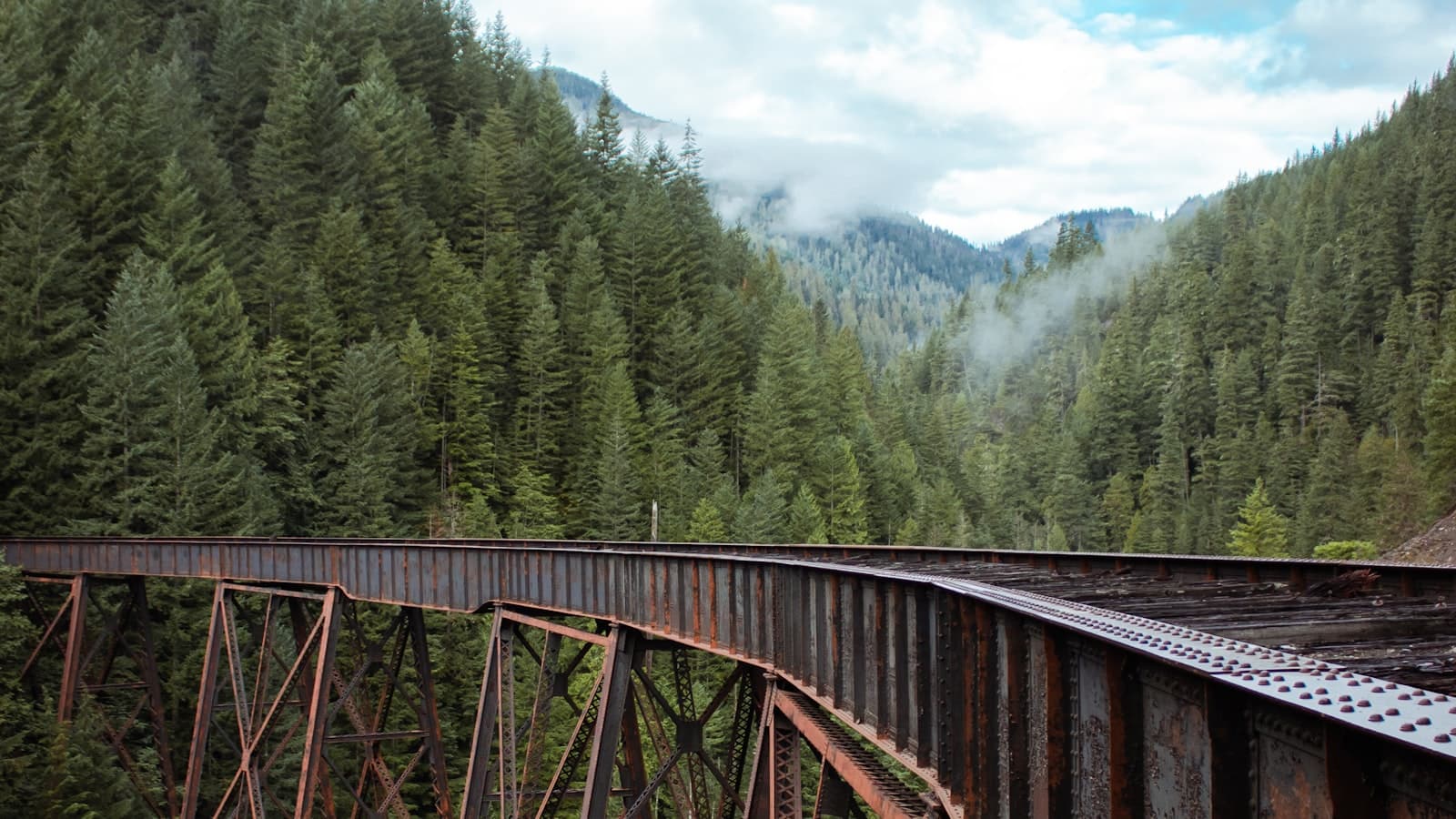 Steel railroad trestle bridge spanning a forested mountain valley
