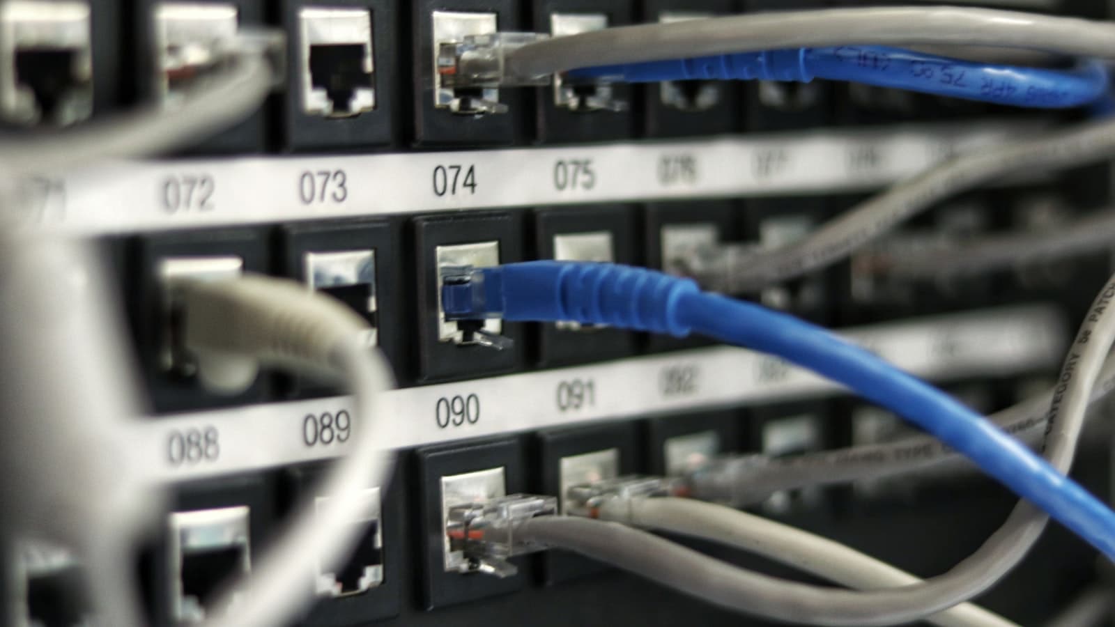 Ethernet patch cables connected to numbered ports on a network panel